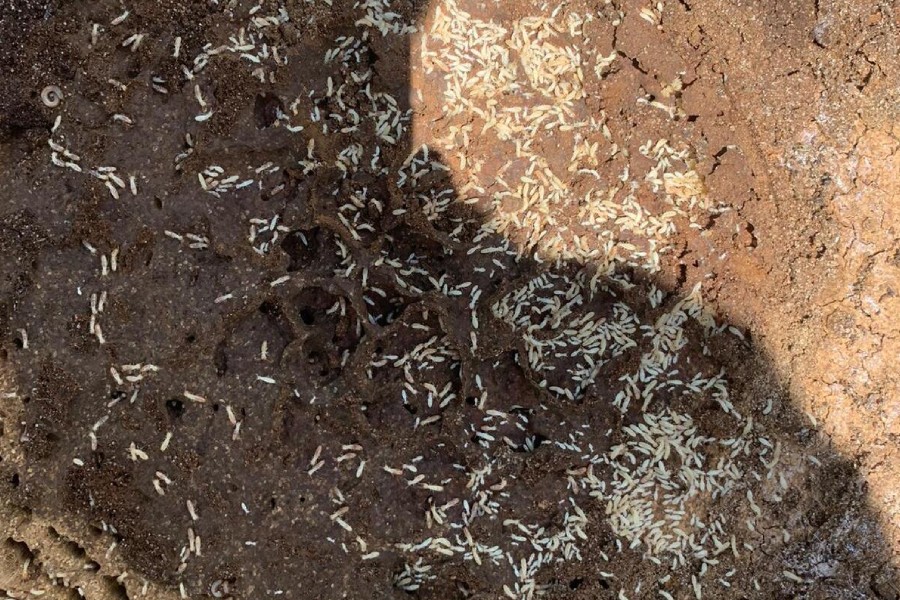 Diagnostic amiante réalisé par Diag Innov